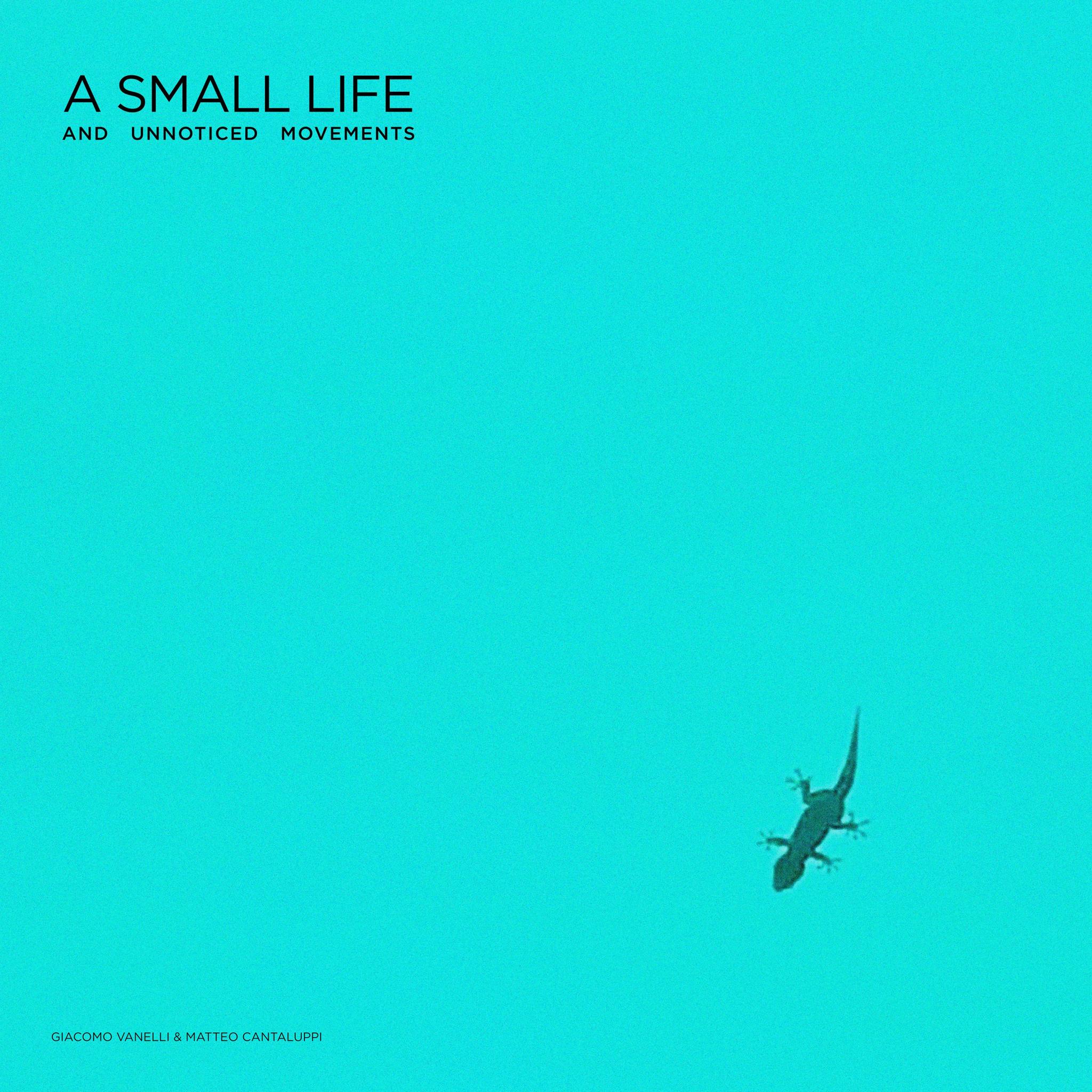 Giacomo Vanelli & Matteo Cantaluppi — A Small Life and Unnoticed Movements